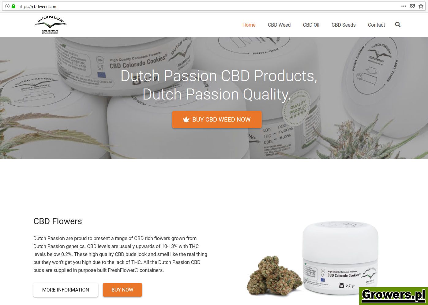 dutch-passion-cbd-weed-29502.jpg