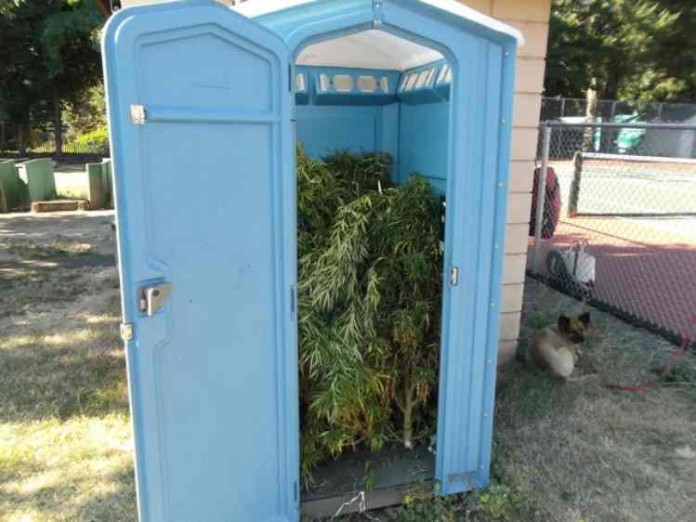 marihuan_-w_toalecie-6541.jpg