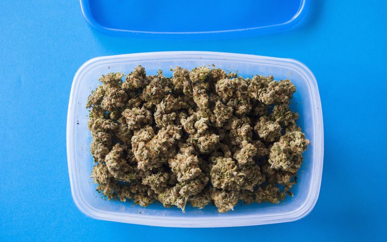 cannabis-marihuana-paki-w-pudelku.jpg