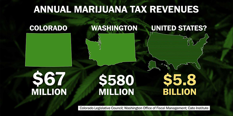 a-3-legalna-marihuana-generuje-wysokie-podatki.jpg