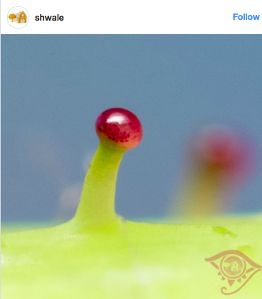 Screen Shot 2017-08-22 at 09.30.56.png